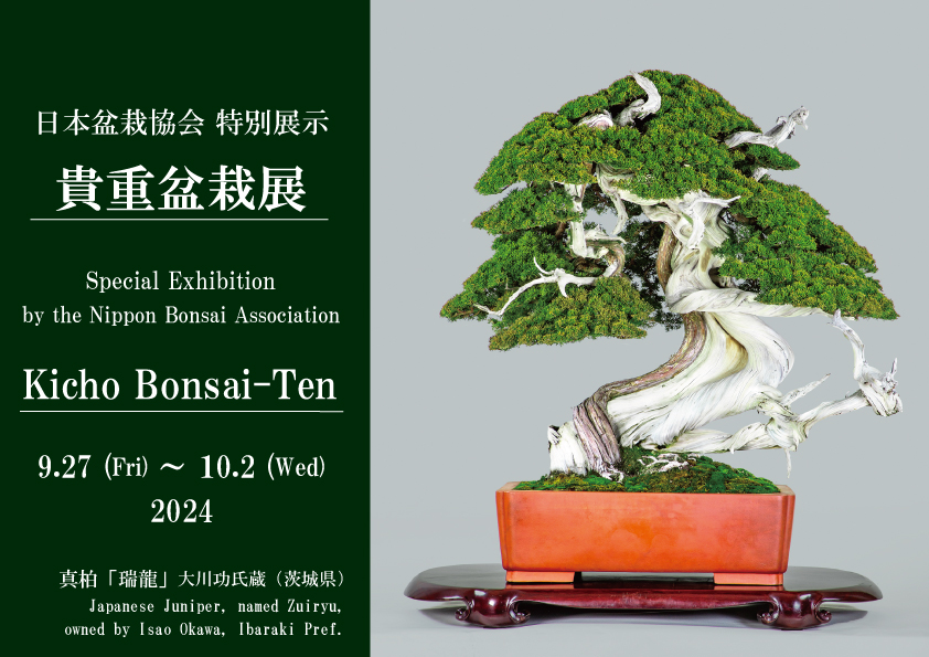 Nippon Bonsai Association Special Exhibition – Kicho Bonsai-Ten