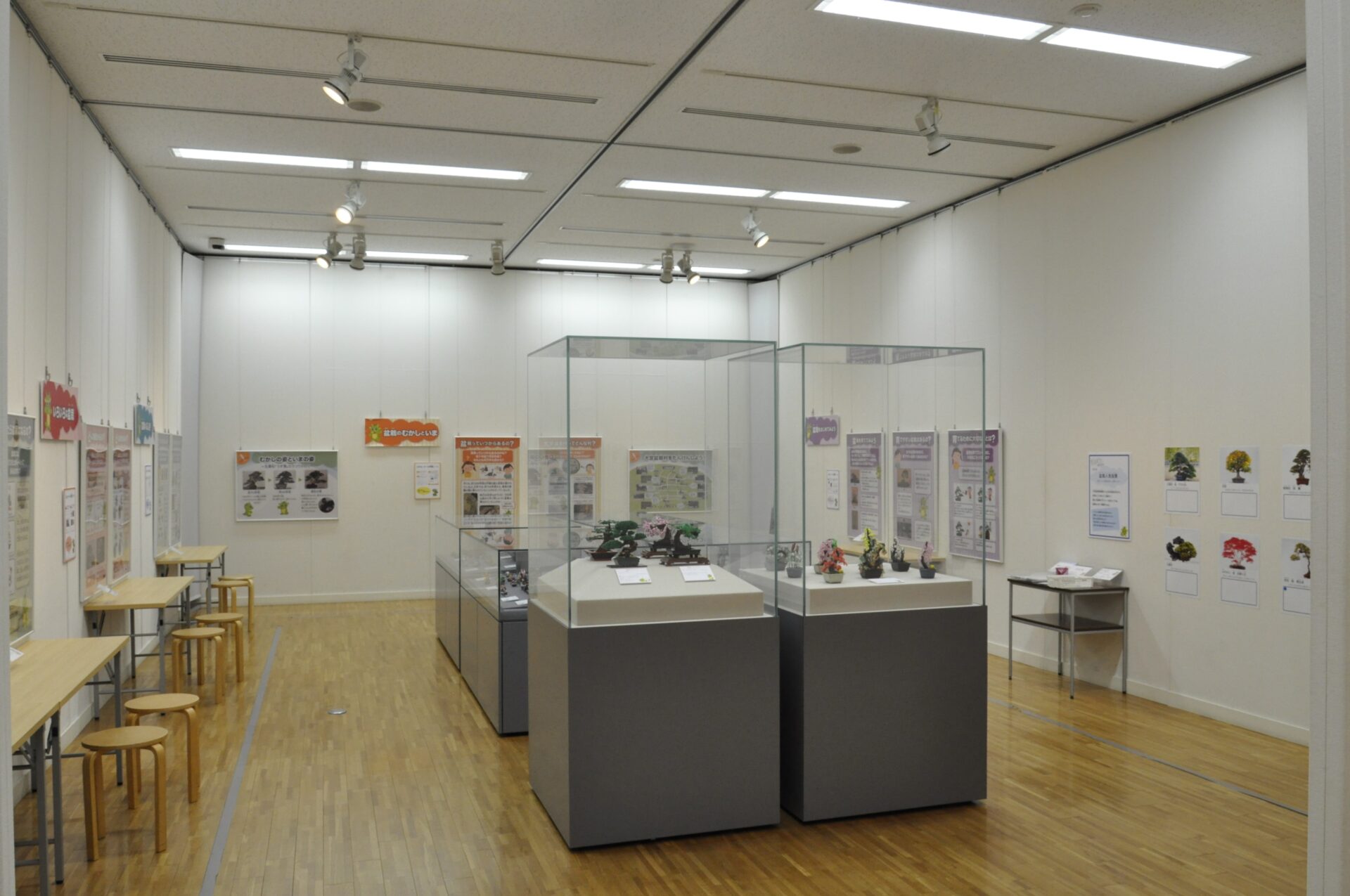 【Preview】Exhibition – Children’s Summer Vacation Bonsai Art Museum